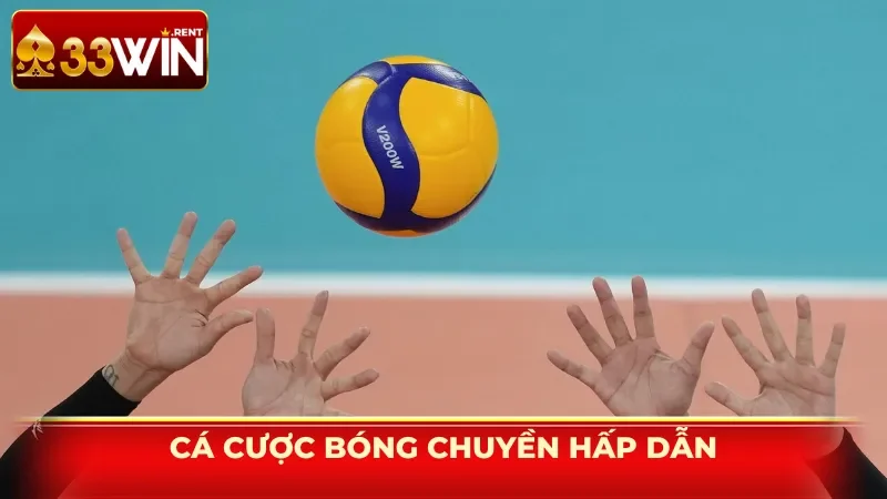 Cá cược bóng chuyền hấp dẫn, kịch tính và siêu cạnh tranh