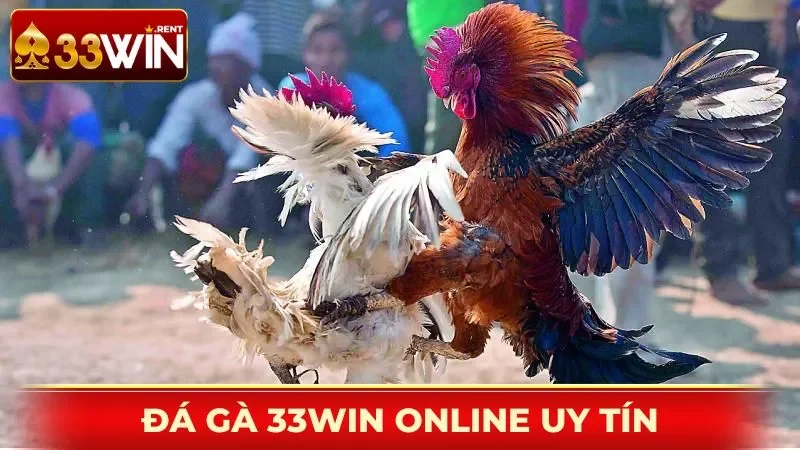 Đá gà 33WIN - sảnh chơi trực tuyến uy tín