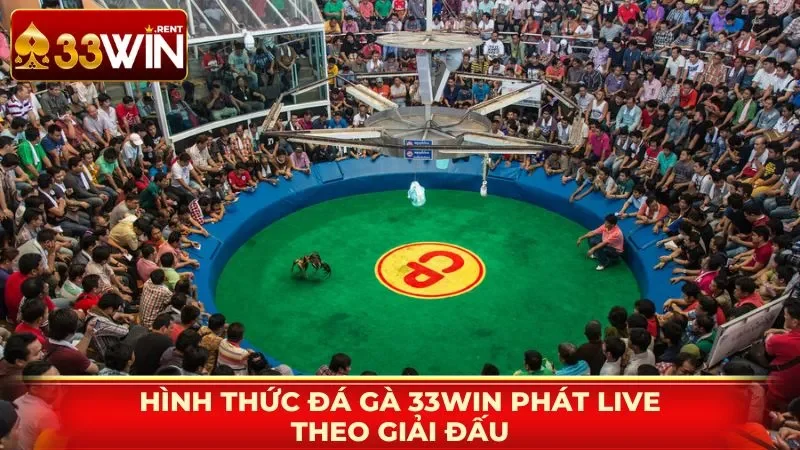 Hình thức đá gà 33WIN theo giải đấu