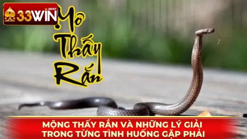 Mộng thấy rắn và những lý giải trong từng tình huống gặp phải