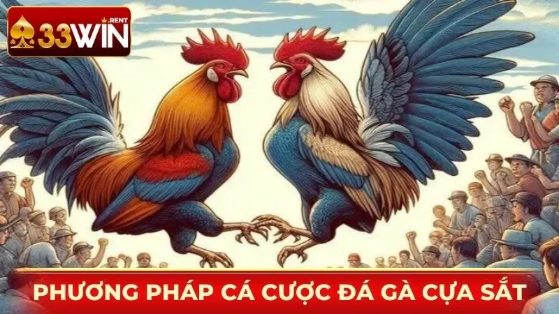 Phương pháp cá cược đá gà cựa sắt thông minh