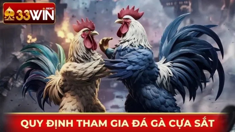 Quy định tham gia đá gà cựa sắt